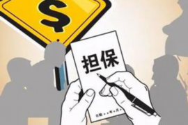 西夏对付老赖：刘小姐被老赖拖欠货款